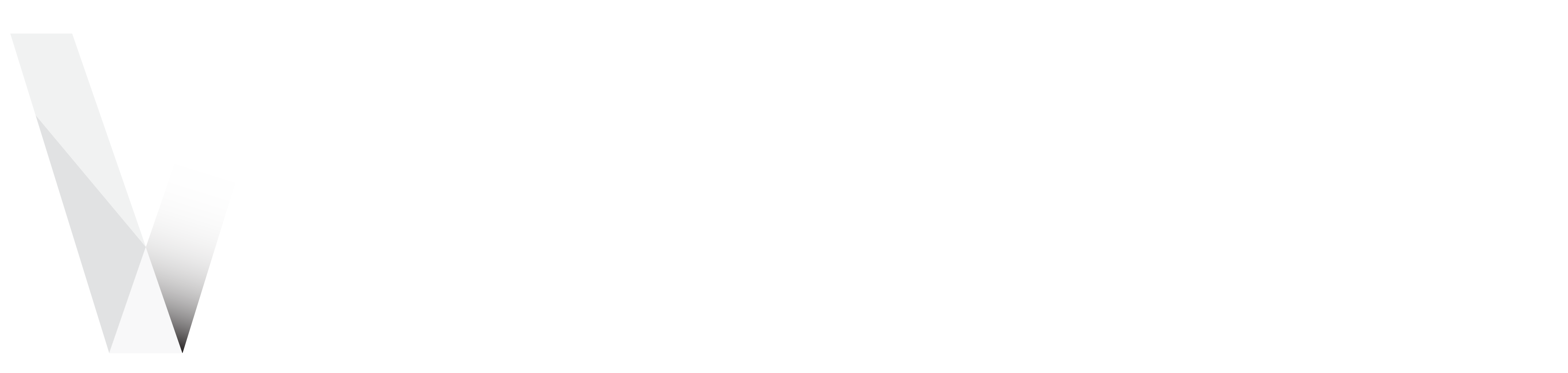 Vector Logo